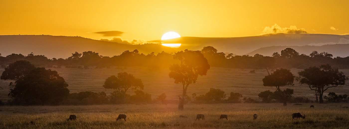Masai Mara