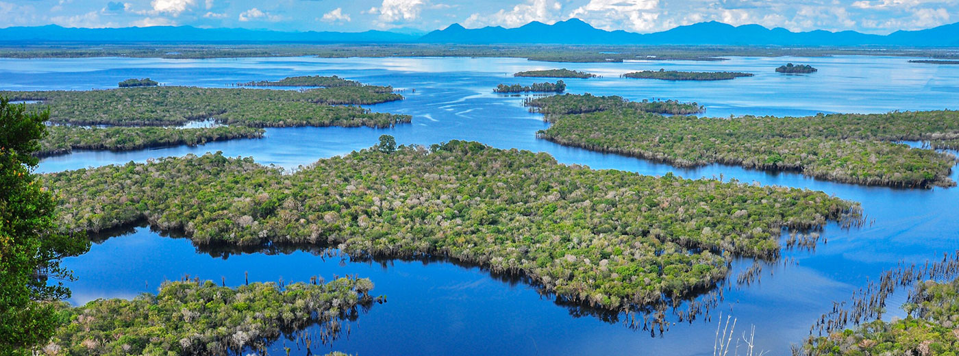 Borneo