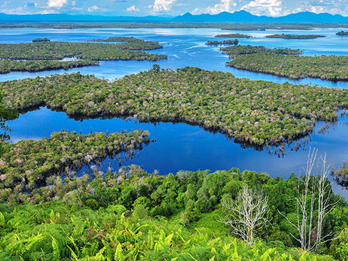Borneo