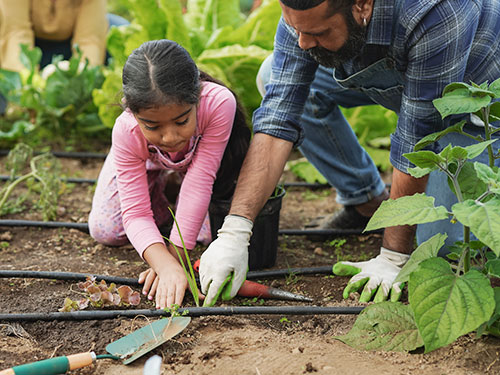 Learning Through Service